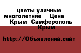 цветы уличные многолетние  › Цена ­ 150 - Крым, Симферополь  »    . Крым